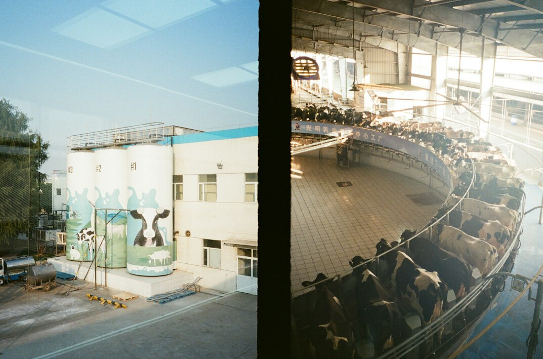 sustainable film production