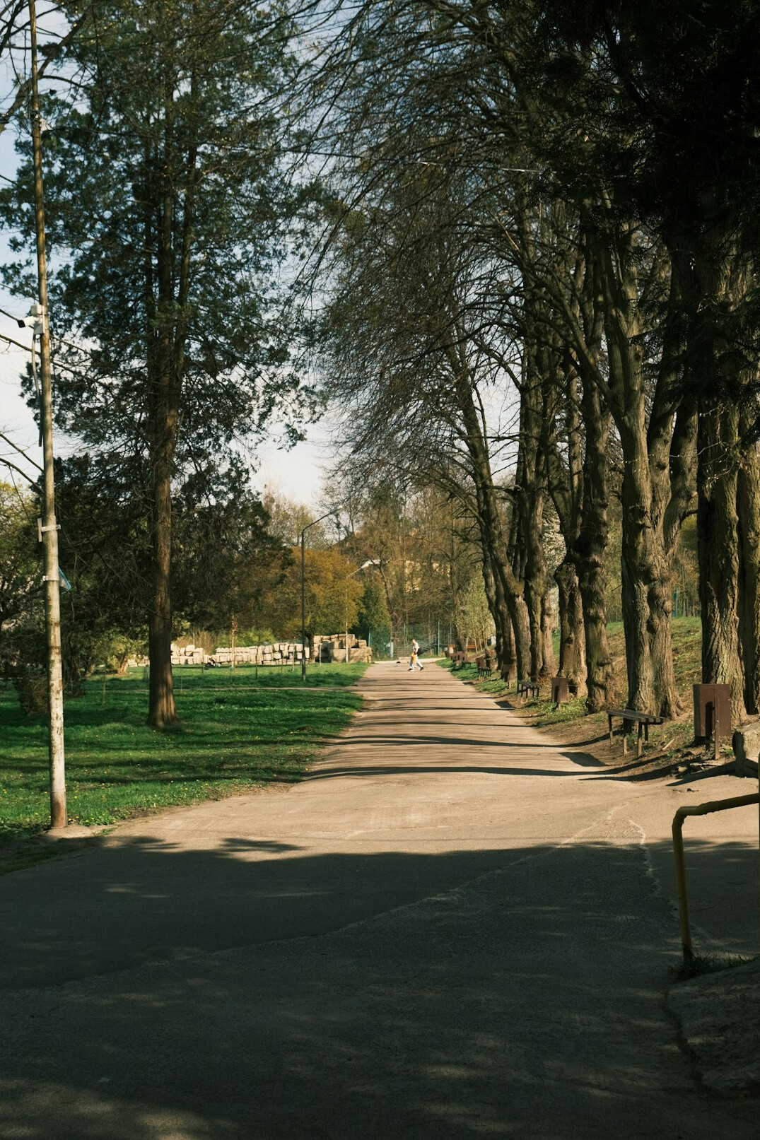 cinematic color grading